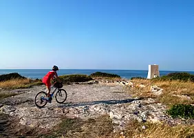 turistipercaso cultura-mje5m