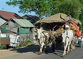 turistipercaso cultura-mkjbu