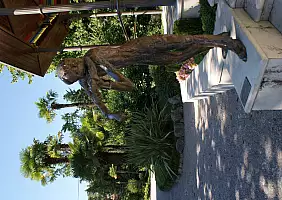 turistipercaso cultura-mmqap