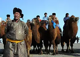 turistipercaso cultura-mtfax