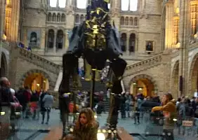 turistipercaso cultura-muqv7