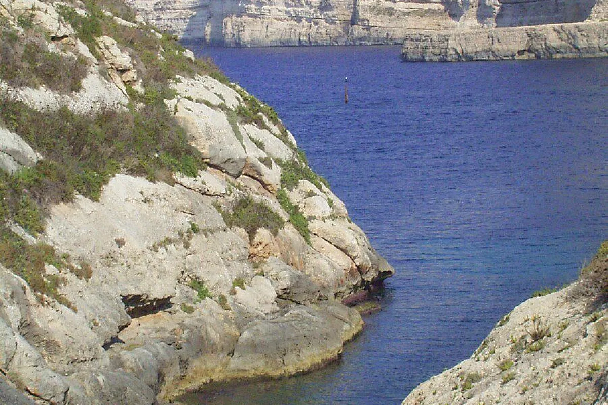 Profumo di origano selvatico nella fortezza del Mediterraneo