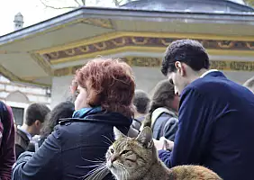 turistipercaso cultura-nxr2f