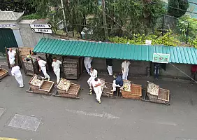 turistipercaso cultura-pa7hu