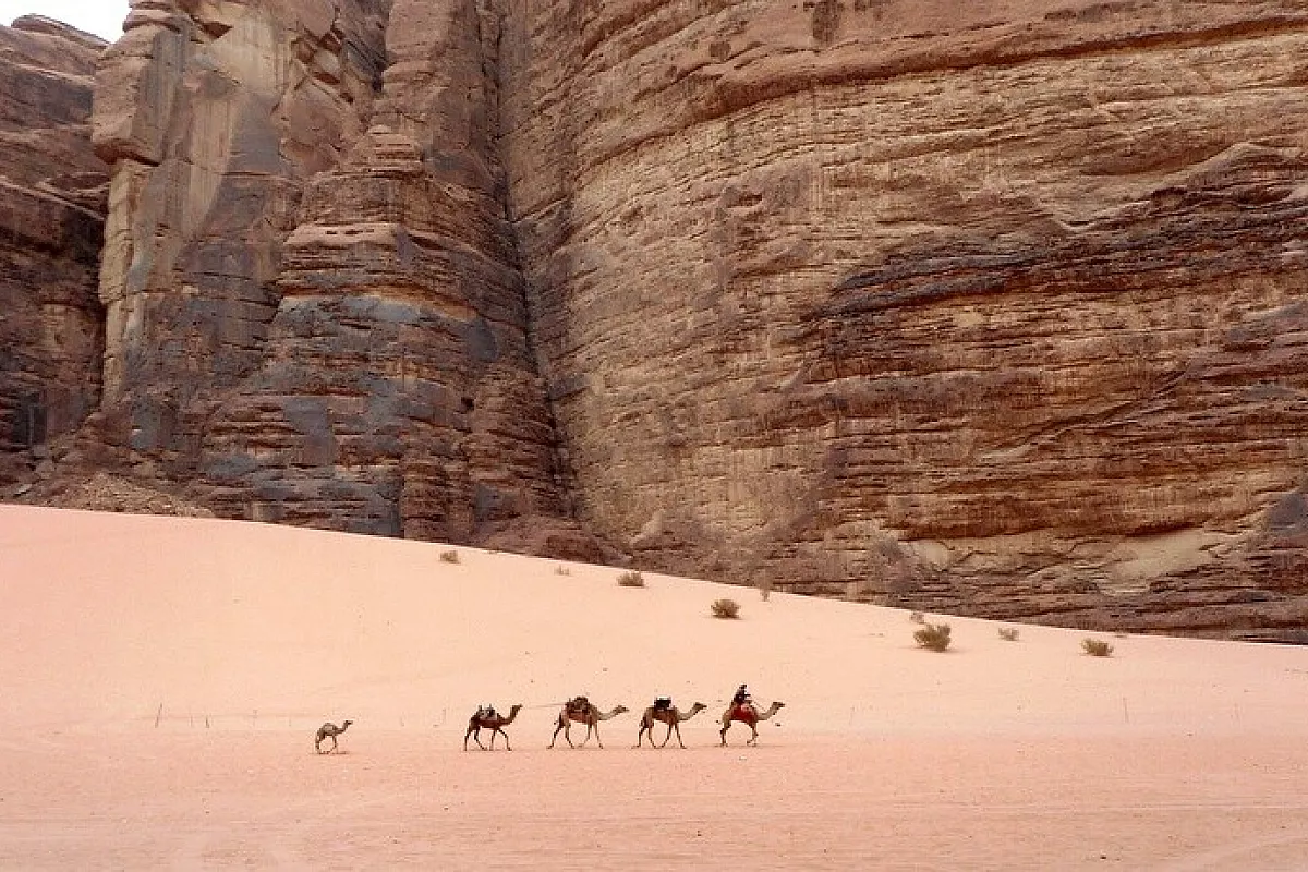 Wadi rum