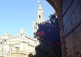 turistipercaso cultura-q8c5s