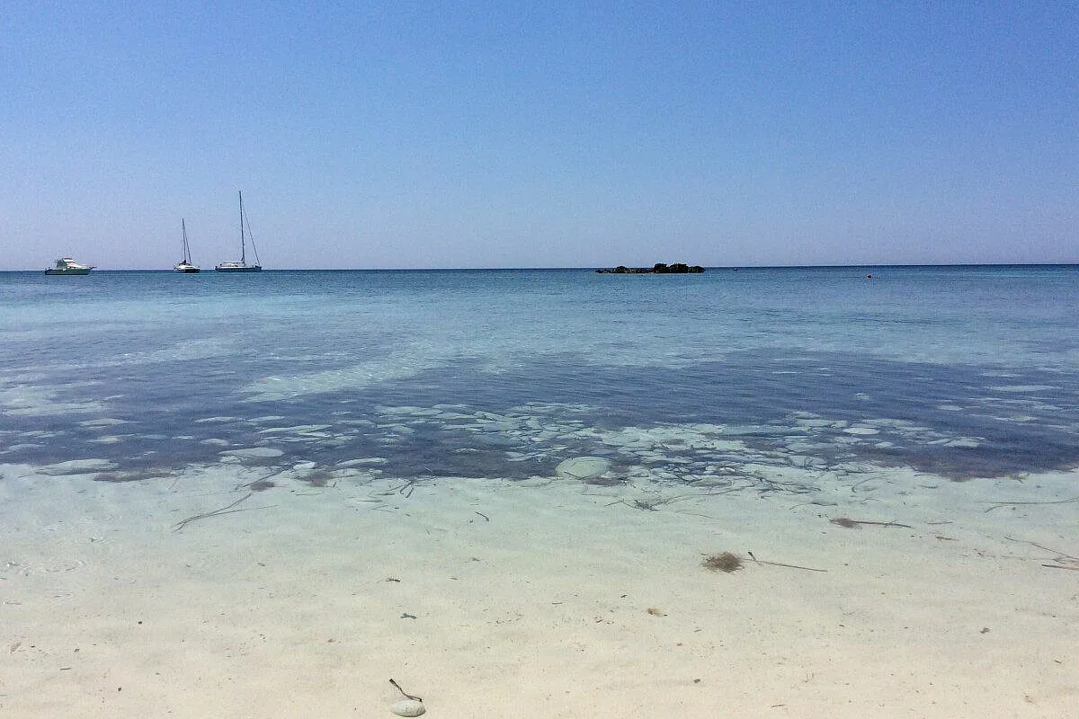 Favignana