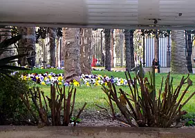 turistipercaso cultura-qhdct