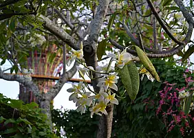 turistipercaso cultura-r3ux2