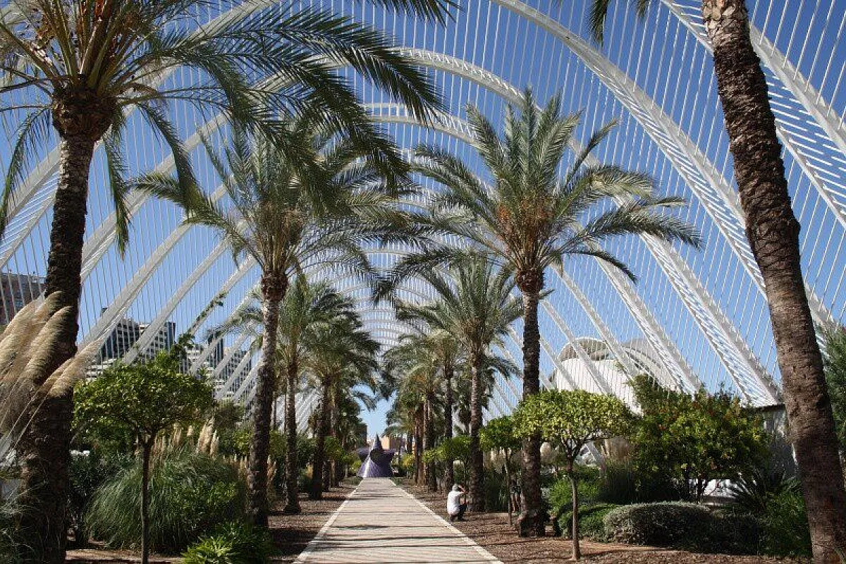 l'Umbracle alla città delle Arti e della scienza
