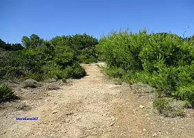 turistipercaso cultura-rcuf4
