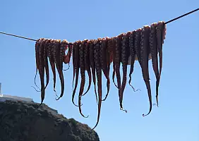 turistipercaso cultura-rdyv7