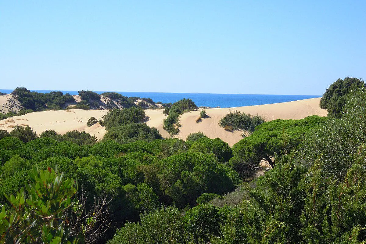 Piscinas