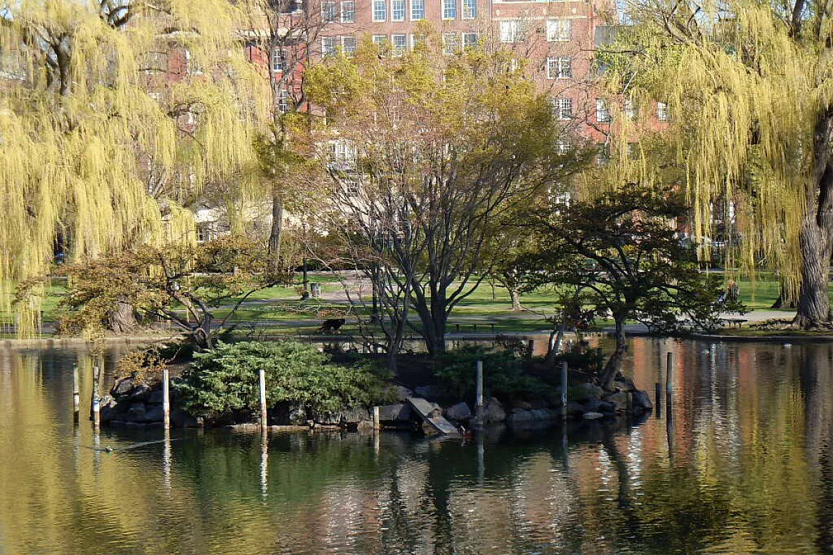 parco pubblico
