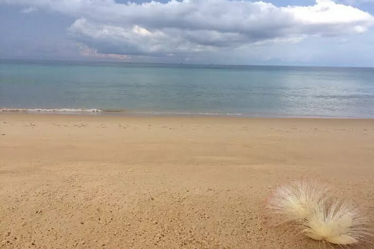 Bangkok e Phuket, consigli, pro e contro, con bimba di un anno.
