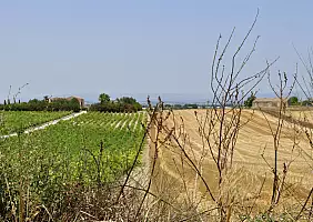 turistipercaso cultura-svwrp
