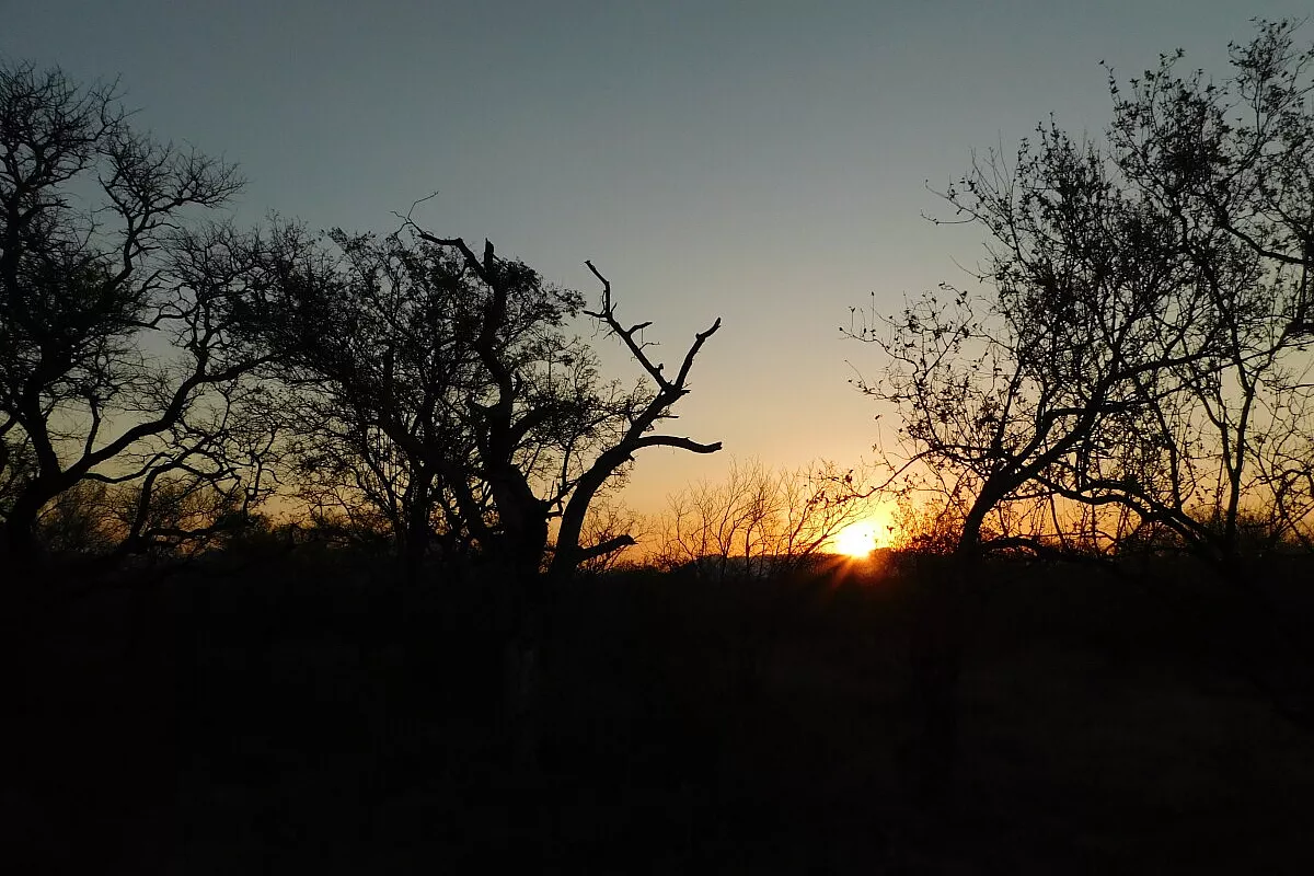 Tramonto africano