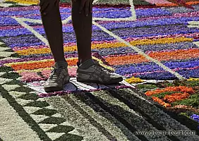 turistipercaso cultura-tgvqg