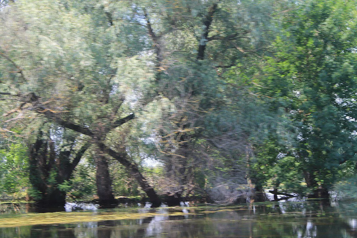 delta del danubio