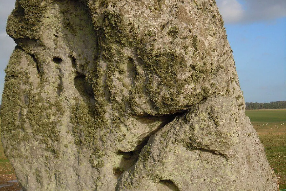 Stonehenge e Old Sarum