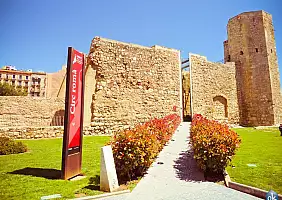 turistipercaso cultura-u26d2