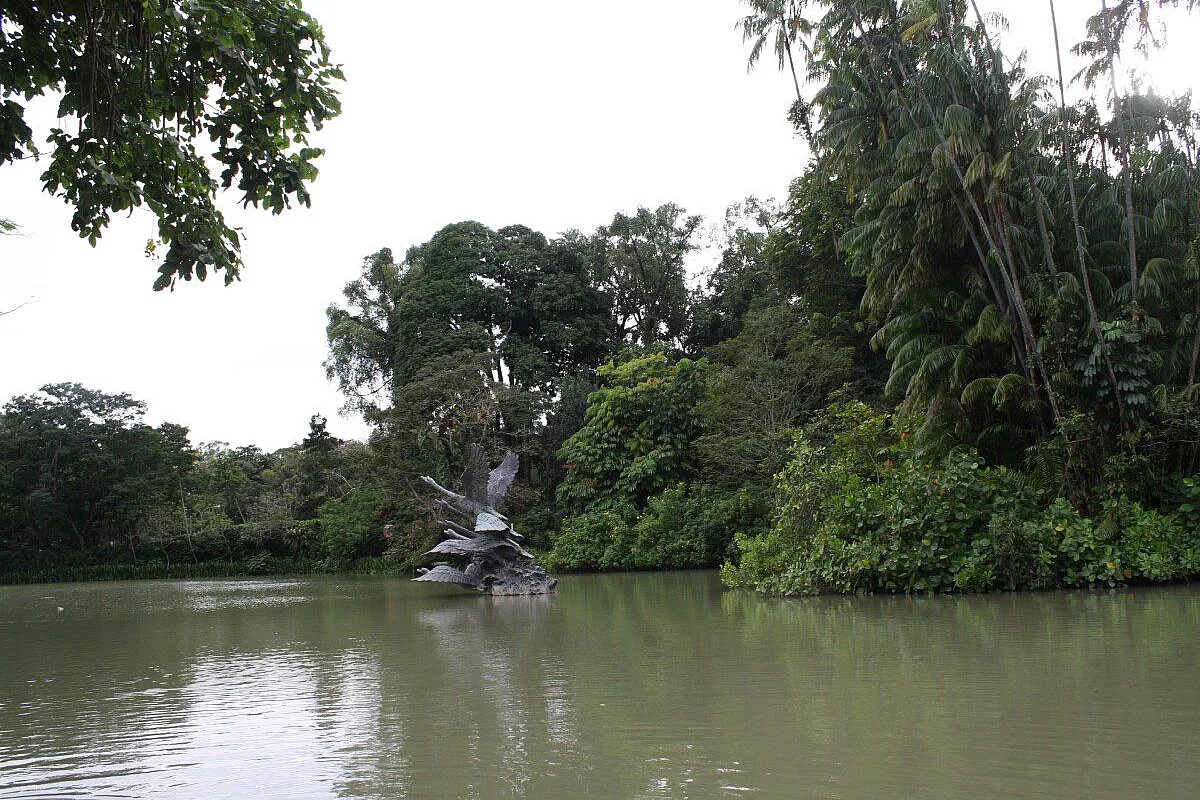 Singapore_Botanic Garden