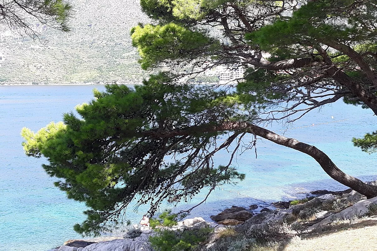 Cavtat