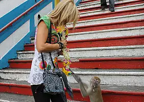 turistipercaso cultura-uq5b8