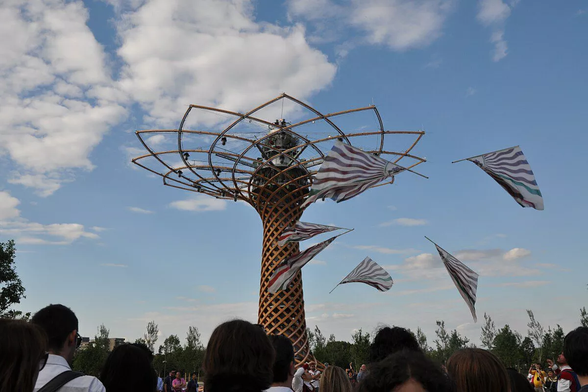 Sbandieratori all'albero della vita