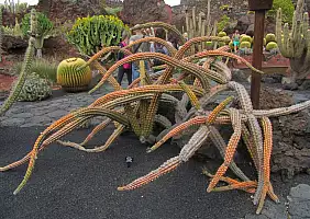 turistipercaso cultura-vebdj