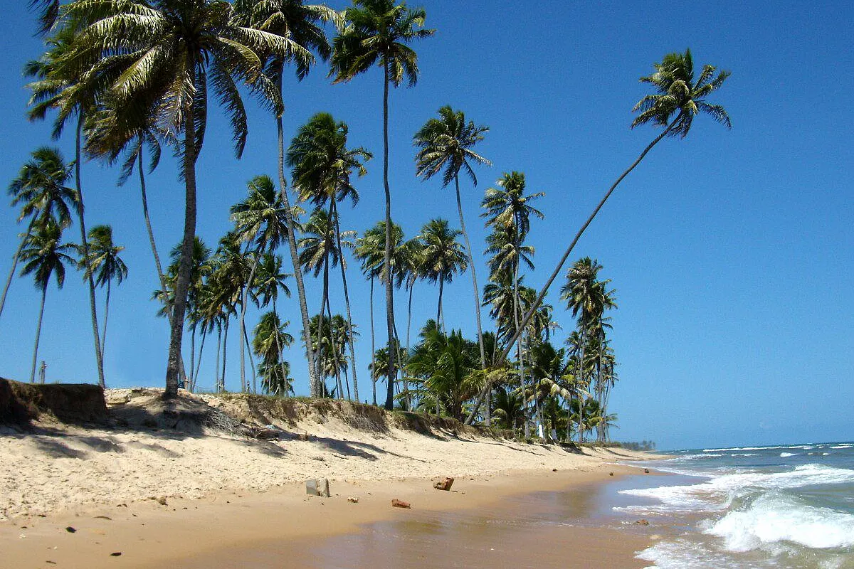Spiaggia tropicale