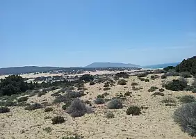turistipercaso cultura-vs95a