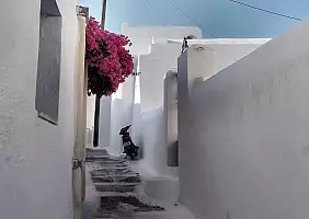 turistipercaso cultura-vsqum