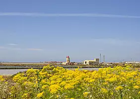 turistipercaso cultura-vtpfe