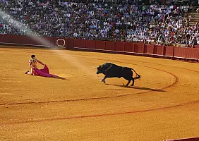 turistipercaso cultura-w2yxq