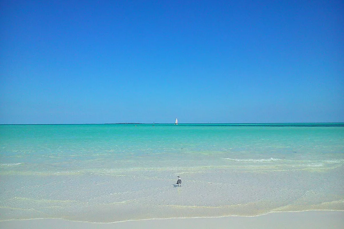 Cayo Guillermo