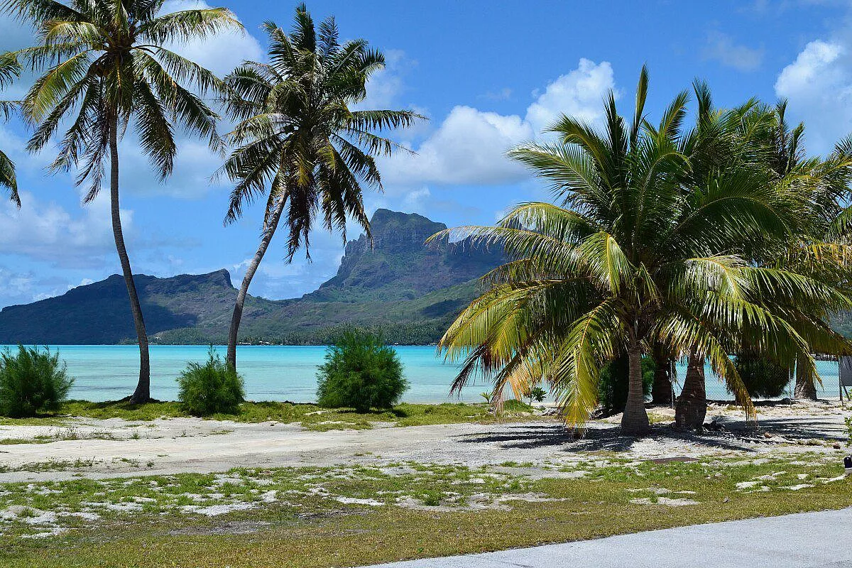 VIAGGIO IN POLINESIA, PASSANDO DA TOKYO!