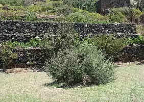 turistipercaso cultura-x4wu3