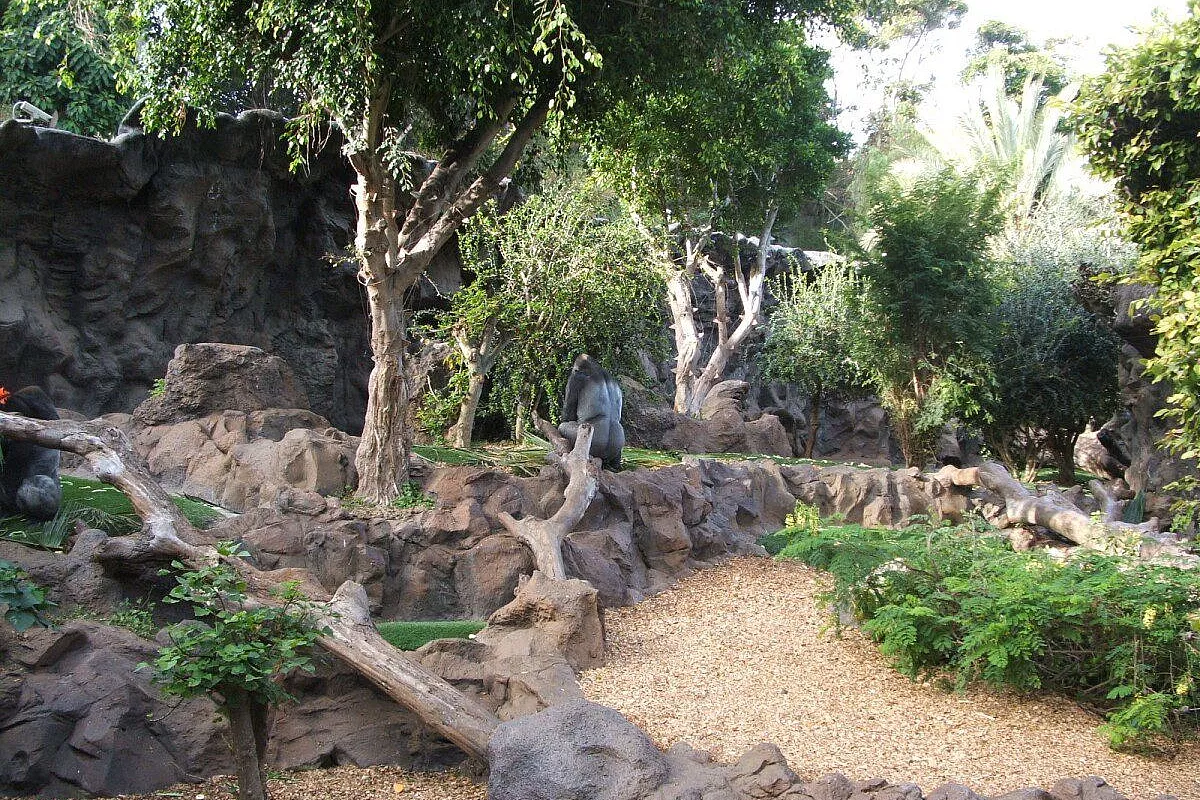 Puerto de la Cruz Loro Parque