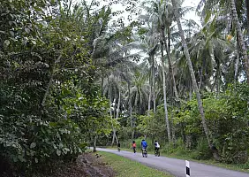 turistipercaso cultura-xzjhu