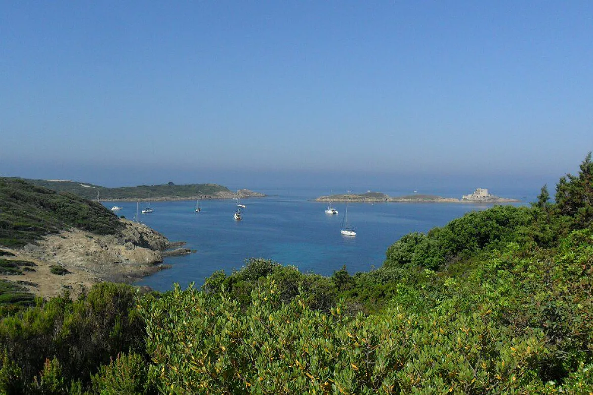 Porquerolles: scorcio dell'isola