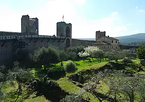 turistipercaso cultura-y7vmt