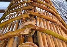 turistipercaso cultura-ynepw