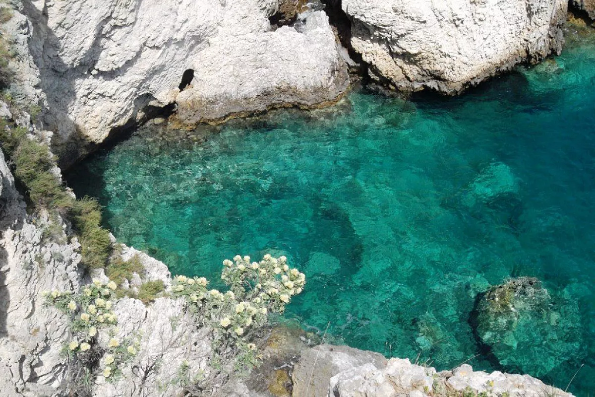 Acqua cristallina del mare delle Tremiti