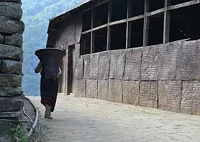 turistipercaso cultura-z1pnc
