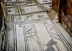 turistipercaso cultura-z6dpk