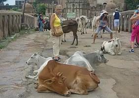turistipercaso cultura-zfeye