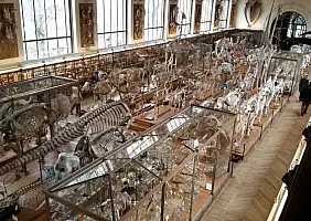 turistipercaso cultura-zqjc6