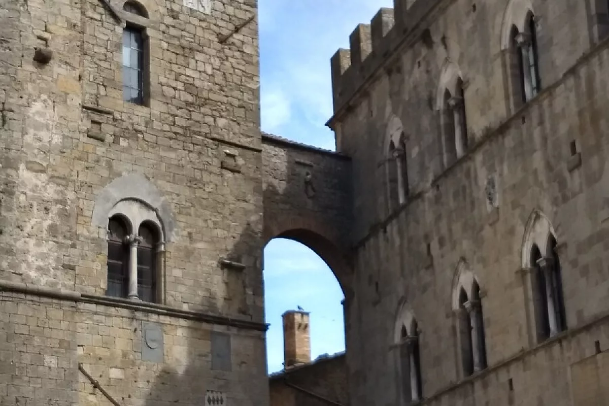 volterra