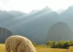 turistipercaso cusco-region-rpajx